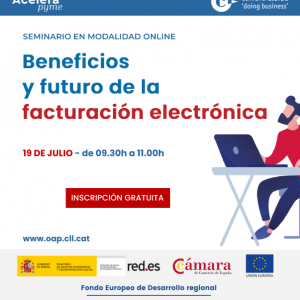Webinar Factura Electrónica